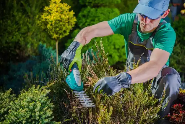 landscaping services Rayne